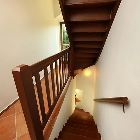 Guest house Teddy